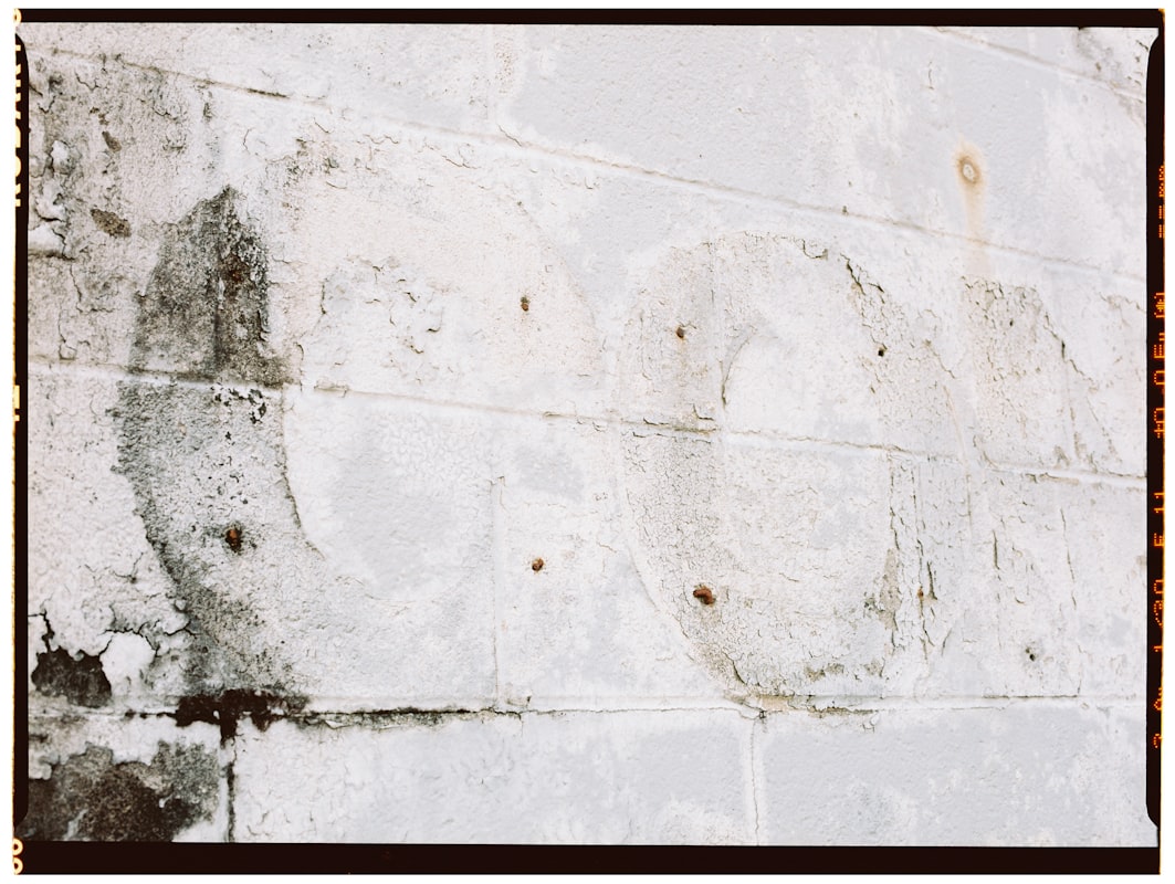 Water Extraction service in Garland, TX