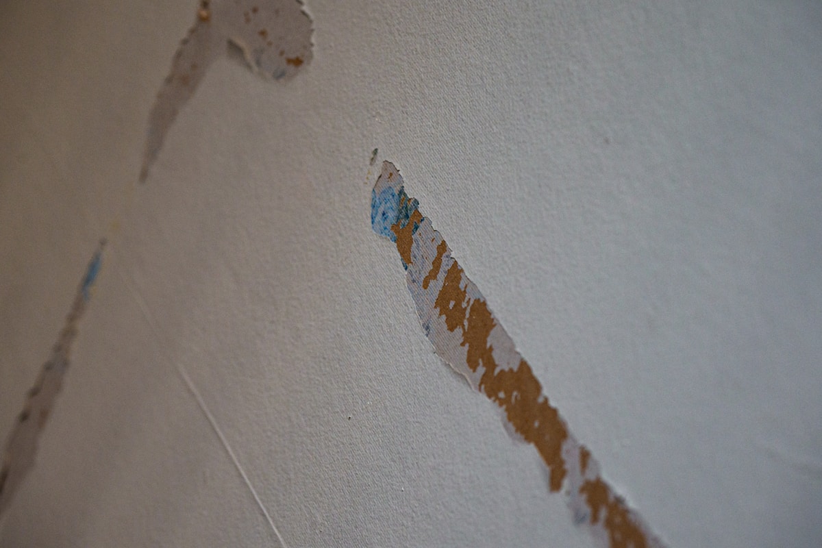 Basement Water Removal service in Garland, TX